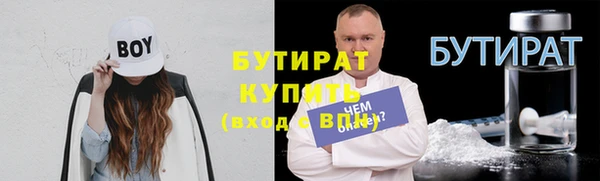 шишки Арсеньев