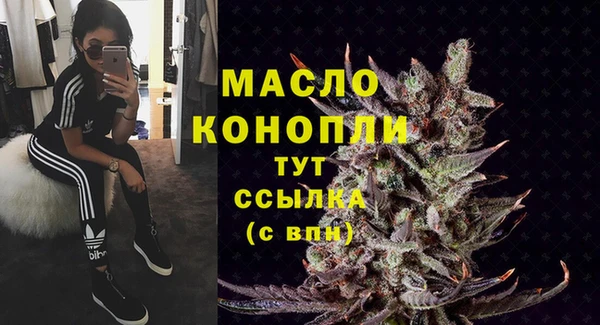шишки Арсеньев