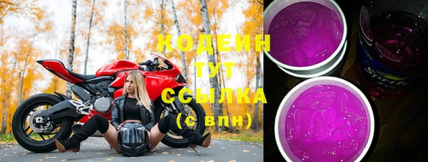 шишки Арсеньев