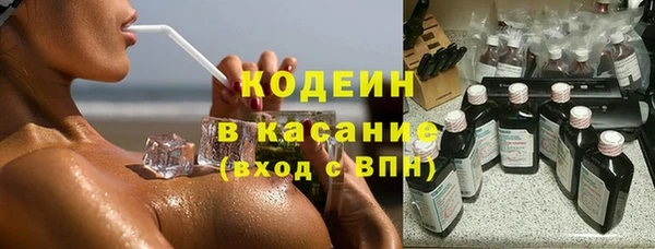 шишки Арсеньев