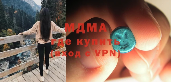 шишки Арсеньев