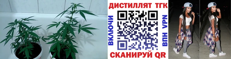 Дистиллят ТГК вейп с тгк  Похвистнево 