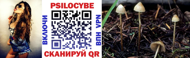 hydra ССЫЛКА  Похвистнево  Галлюциногенные грибы Psilocybine cubensis  где купить наркоту 